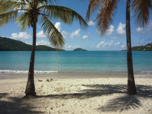 Tropical beach.